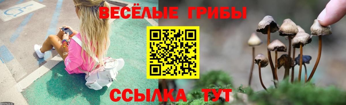 Батайск  Галлюциногенные грибы Psilocybe  Вход с VPN 